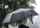 Informare meteo de vreme rea. Sunt anunţate ploi până miercuri