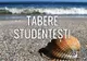Cei mai buni studenți pleacă în tabere
