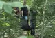 Găsită, după două luni, moartă într-o pădure. Final tragic în cazul unei bătrâne despre care nu se mai știa nimic din mai