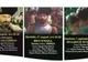 „Caravana Filmului Românesc” ajunge la Hunedoara. Proiecțiile vor avea loc în aer liber, iar accesul este gratuit