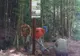 Un nou traseu tematic în Parcul Natural Grădiştea Muncelului Cioclovina