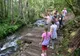 Muzica naturii se va auzi în Geoparcul Dinozaurilor din Țara Hațegului