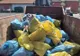 „Let's do it, România!”. Peste 3.500 de saci, plini cu gunoaie, adunați în județul Hunedoara