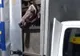 Cai furați din grădinile unor localnici din Bănița. Animalele, găsite de polițiști
