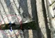 FOTO: Pro Infrastructura cere deschiderea lotului 3 al autostrăzii