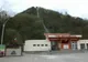 Un angajat al telecabinei din Deva, mușcat de viperă. Bărbatul a mers la spital cu șarpele în borcan