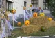 Carnaval de Halloween, la biblioteca județeană din Deva