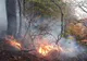 A treia zi de luptă cu cele două incendii de pădure, izbucnite în nordul și sudului județului