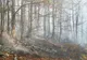 Au reuşit să câştige lupta cu focul! Pompierii au stins cele două incendii izbucnite în nordul și sudul județului Hunedoara