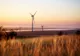 30 de mineri ar putea lucra în industria eoliană
