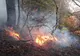 Avion pentru stingerea incendiilor de vegetație
