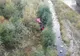 A scăpat din două accidente petrecute într-o singură zi, dar are nevoie de sânge