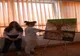 Elevii din Vulcan, singurii din județul Hunedoara, au organizat o acțiune dedicată bullying-ului