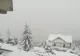Ninge în zonele de munte din sudul județului Hunedoara