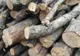 Amendat pentru că și-a însușit lemn din fondul forestier al Ocolului Silvic Retezat