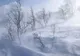 Alertă meteo de ultimă oră. Cod portocaliu de vânt și ninsoare viscolită