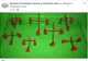 Crucea de drimoc, un precursor al mărţişorului de astăzi, este expusă la Muzeul Civilizaţiei Dacice şi Romane (MCDR) Deva
