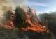 Incendiu puternic de vegetaţie şi arbori în pădurea din Tomeşti