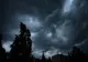 Alertă meteo: cod galben de vijelii în două județe din vestul țării