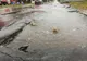 Probleme după ploaia torențială: sistem de canalizare surpat, locuințe inundate