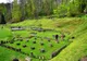 Program de toamnă la cetatea dacică Sarmizegetusa Regia