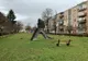 Peste 180.000 de euro, bani pentru grădina urbană din zona Zamfirecu din Deva