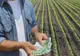 Peste 745 milioane de euro autorizați la plată de APIA pentru fermieri! Vezi numărul de beneficiari din fiecare județ