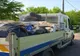 Gunoi adunat de pe străzi de cei cu venit minim garantat