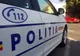 Incident sinistru în județul Hunedoara. Un copil a ucis în bătaie doi cățeluși, cu o cruzime extremă