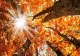 Temperaturi de vară la final de octombrie. Zonele în care valorile urcă până la 27 de grade Celsius