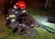 Măgărușul Aiurel, salvat de pompieri hunedoreni de la moarte: a căzut într-un canal cu apă și nu a mai putut ieși