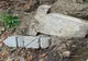Monument vandalizat pe Via Transilvanica, în județul Hunedoara