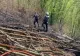 Incendiu masiv de vegetație în județul Hunedoara: 15 hectare de litieră și pășune împădurită, afectate