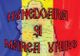”Hunedoara și Marea Unire” - ședință omagială a CJ, dedicată Centenarului Marii Uniri