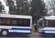 Noile autobuze cumpărate de societatea de transport public din Hunedoara, puse în circulaţie