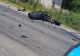 Accident mortal pe DN 7. Impact violent între o motocicletă și un autotren