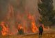 Incendii Grecia. Zeci de mii de turiști, între care și români, evacuați de urgență. Cea mai mare misine de salvare. Flăcările uriașe, vizibile din Albania - VIDEO
