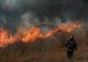TRIPLARE A NUMĂRULUI DE CAZURI DE INCENDII DE VEGETAŢIE ÎN ROMÂNIA, ÎN LUNA IUNIE